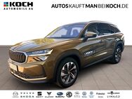 Skoda Kodiaq, 2.0 TDI Selection, Jahr 2024 - Ludwigsfelde