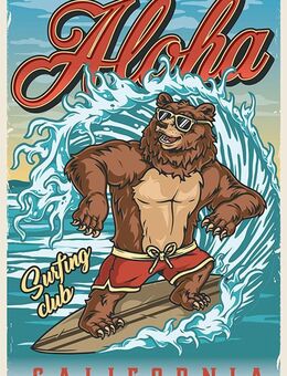 Schönes Blechschild Surfing Aloha California USA 20x30 cm - Berlin