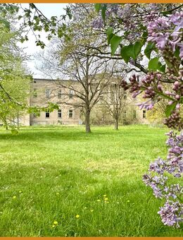 Lebensaufgabe gesucht? Stark sanierungsbedürfiges Schloss in Mollenstorf sucht neue Eigentümer - Penzlin