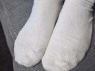 Getragene Socken - Meschede (Kreis- und Hochschulstadt)