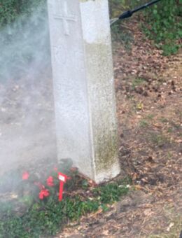 Grabsteinpflege-Reinigung - Limburg (Lahn)