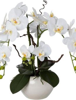Kunstorchidee Phalaenopsis, Creativ green, Höhe 55 cm, im Keramiktopf
