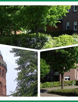 Vermietete Eigentumswohung mit Stellplatz - Solide Kapitalanlage! - Bergen (Rügen)