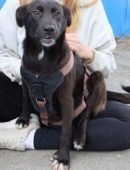 Emma wartet auf dich - München