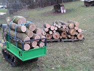 Brennholz nur Hartholz Eiche, Esche, Buche, Eberesche, Akazie, Kamin-Feuerholz Kaminholz von Privat - Trocken, sofort zum Heizen - Erfurt
