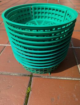 Pflanzschale Pflanzkorb für Blumenzwiebeln, Ø ca. 24 cm, 11 Stück, stapelbar, Kunststoff - Hamburg Wandsbek