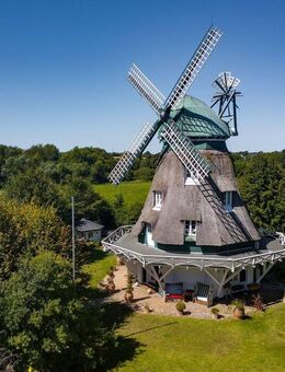 Original Holländer Reetdach Mühle - Privatsphäre pur - Lübeck