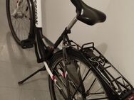 Damenfahrrad 28 Zoll 7 Gänge - Halle (Westfalen)