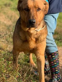 King sucht liebevolle Menschen - Untergruppenbach