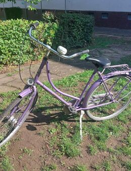 Falter H 1.0 Classic „Pearl Purple“ – City/Hollandrad - Frankfurt (Main)