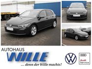 VW Golf, 1.5 TSI VIII Life, Jahr 2023 - Wernigerode