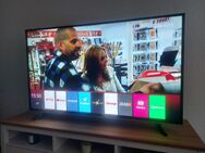 Grundig 65 Zoll Smart TV Entertainment Dolby Digital Surround - Essen