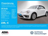 VW Beetle, 1.2 TSI Cabriolet Design, Jahr 2018 - Bad Rappenau