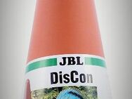 JBL DisCon Diskus Laichkegel Skalar Ablaich Kegel - Verden (Aller)