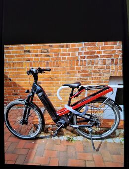 Riese und Müller Homage gt rohloff 2023 - Bad Schwartau