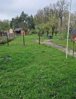 +++ Schönes saniertes Einfamilienhaus ++ in Nessetal OT Goldbach ++ mit großem Gartengrundstück ++ Brunnen ++ Garage ++ Kamin u. Kachelofen +++ - Goldbach (Thüringen)