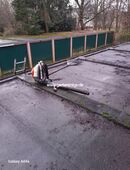 Stihl Rückenpüster in 22045