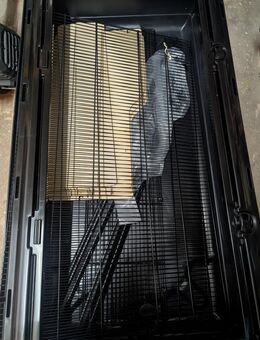 Kleintierkäfig Tiaki - Köln