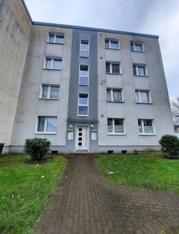 Gute Laune kann man jetzt mieten! VIVAWEST - Herne