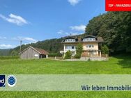 LANDHAUS IN ALLEINLAGE MIT FERNBLICK SOWIE WALDBESTAND UND TEICH -TIERHALTUNG GEEIGNET - Hengersberg