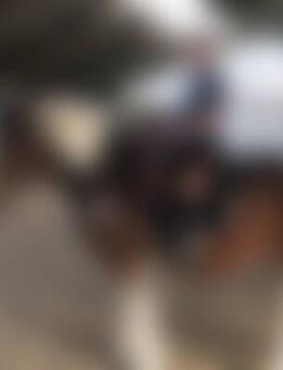 Pon*** - Hagen (Stadt der FernUniversität)