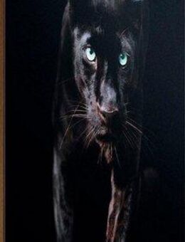 Reinders! Deco-Panel Schwarzer Panther