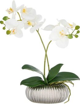 Kunstorchidee Orchidee Phalaenopsis, Creativ green, Höhe 38 cm, mit real-touch-Blüten