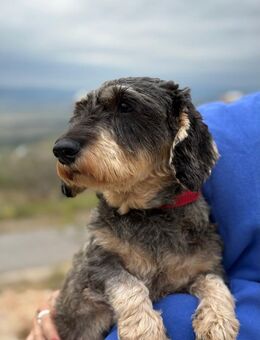 Käthe kleine Beine großes Herz ❤ - München