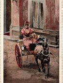 Alter Druck , Dog - Cart. , Originalzeichnung von A. Ackermark , Pferd , Kutsche , Blatt 28cm x 17cm , M7 in 02828