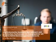 Kaufmännische Assistenz/Betriebswirt mit juristischen Fachwissen im Energiesektor als Experte Behördenmanagement (m/w/d) - Landau (Pfalz)