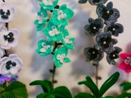 Orchideen selbst gemacht - Lauda-Königshofen