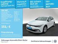 VW Golf, 2.0 TDI VIII Life Gar 2029, Jahr 2024 - Mannheim