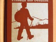 antiquarisches Buch „Weltvagand“ von Werner Zimmermann, Bergverlag Bern, 1922 - Dresden