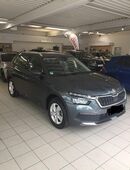 Skoda Kamiq Ambition TSI DSG 1,0 81 Kw in 65936