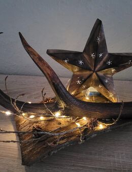 Abwurfstange Geweih Deko Weihnachten Jagddeko Stern - Duisburg