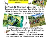 Vielfältiges Leben im Teich und Tümpel - Lüchow (Wendland)
