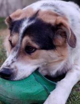 Huckleberry Finn freut sich auf dich! - München