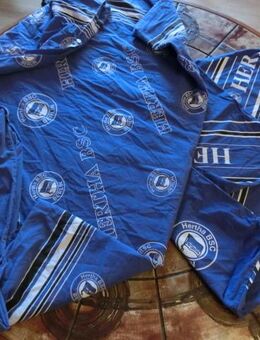 Motiv-Bettwäsche - Hertha BSC - 1 Garnitur - für 5,00 zu verkaufen! - Berlin