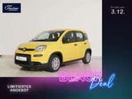 Fiat Panda, 1.0 GSE Hybrid, Jahr 2024 - Pilsach