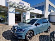 VW Golf, 1.6 TDI 7 IQ DRIVE, Jahr 2019 - Pasewalk