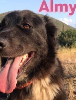 Almyra - alte, fitte und liebe Dame - Heppenheim (Bergstraße)