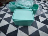 Tupperware Box Frische Ecke 500ml Mintgrün Tupperware Box grün Quadro - Sengenthal