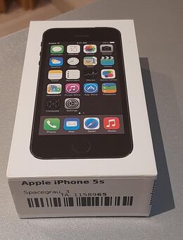 Apple iPhone 5S Spargelgrau - Odenbach