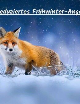 *** renovierungs-bedürftiges 2 bis 3-Familienhaus mit viel Wohnraum, Garage u. 2 Stellplätze ... *** - Mundelsheim