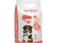 2-fach zooPunkte auf Nutriplus Trockenfutter - Adult Lachs 3 kg