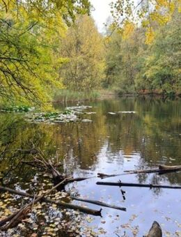 Top modernes Reihenhaus an der Fischbeker Heide (Naturschutzgebiet) - Hamburg