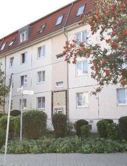 Neue Wohnung - Neue Nachbarn - "Neues Leben" - Oschersleben (Bode)
