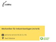 Mechaniker für Industrieanlagen (m/w/d) - Bad Oldesloe