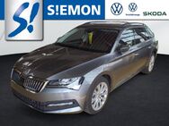 Skoda Superb, Combi TDI Ambition, Jahr 2024 - Münster