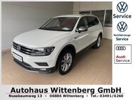 VW Tiguan, 2.0 TDI Allspace Highline, Jahr 2021 - Wittenberg (Lutherstadt) Wittenberg